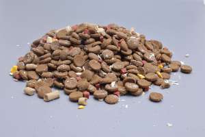 Ücretsiz Pet kuru gıda örnekleri çeşitli şekillerde ve tatlar hassas sindirim için yüksek proteinli köpek maması-fabrika toptan - Product Image 6