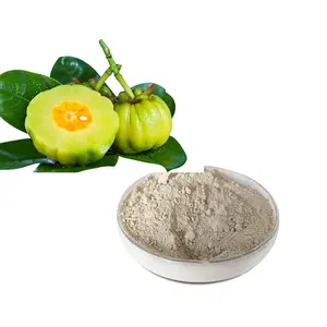 High Quality Garcinia Garcinia Cambogia Extract To Buy Garcinia Cambogia Extract