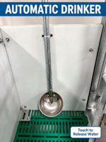 Cage de maternité pour porcs BCPC-FC galvanisée à chaud, personnalisable, avec options de taille pour la gestation des truies