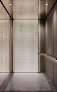 Régulateur de vitesse d'ascenseur XSQ115-02 pour ascenseurs Xizi Otis Giant Otis 1,0-2,5 m/s - Product Image 2