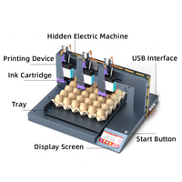 Imprimante jet d'encre Willita à 3 têtes pour œufs |   Machine de codage automatique à écran tactile pour date, code QR et numéro de lot avec encre blanche