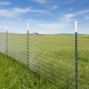 Wholesale Heavy Duty Metal <strong>Post</strong>/t <strong>Post</strong> Used for Cattle <strong>Fence</strong> - Product Image 5
