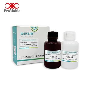 EZ ECL Femto 荧光检测底物检测套件，用于 Western Blots（100ml/500ml 液体）-实验室化学应用 - Product Image 1