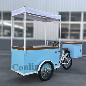 Chariot de crème glacée vélo électrique chariot de vélo de glace pilée chariot de Popsicle congelé à vendre - Product Image 3