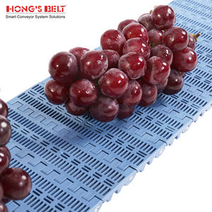 Hongsbelt 102B açık ızgara delikli modüler kemer delikli, kolay temiz yıkama konveyör bant gıda işleme için - Product Image 5
