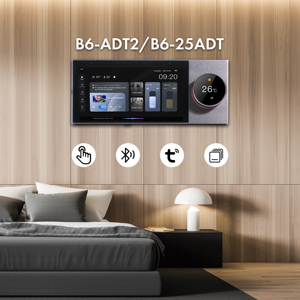 V 6-इंच 2x25w दीवार एम्पलीफायर में लक्जरी स्पा सूट वातावरण के लिए समय पर - Product Image 1