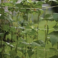 Haute qualité en gros maille souple 100% PP blanc chanvre filet jardin plante en plastique treillis filet pour soutenir