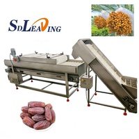 Dadelpoetsmachine Fruitreinigingsapparatuur Borstelwasmachine Dadelpoets- en verwerkingslijn