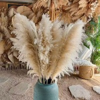 Grosir 2026 Produk Baru Terlaris Rumput Pampas Besar Kering untuk Latar Belakang Pernikahan Dekorasi Rumah Gaya Boho