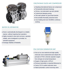Motor de Repuesto para Concentrador de Oxígeno Portátil Flygoo de 3 Litros, para Máquina de Ozono, Esterilización de <span class=keywords><strong>Agua</strong></span>, Tipo PSA, Pureza de Oxígeno del 94% - Product Image 6