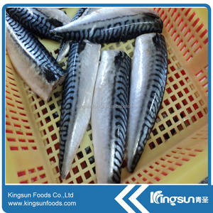 موسم جديد من سمك الماكريل المجمد - Product Image 6