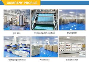 <span class=keywords><strong>Patch</strong></span> de refroidissement Offre Spéciale pour packs froids chauds de Malaisie pour les enfants Coussinets de gel antipyrétiques pour soulager les maux de tête <span class=keywords><strong>Hydrogel</strong></span> rafraîchissant pour la fièvre - Product Image 6