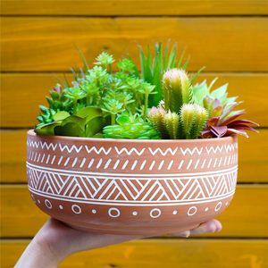 <span class=keywords><strong>Pot</strong></span> à <span class=keywords><strong>bonsaï</strong></span> rond peu profond de 8 pouces en terre cuite, <span class=keywords><strong>pot</strong></span> à plantes succulentes <span class=keywords><strong>avec</strong></span> trou de drainage et <span class=keywords><strong>soucoupe</strong></span> <span class=keywords><strong>pour</strong></span> plantes d'intérieur - Product Image 2