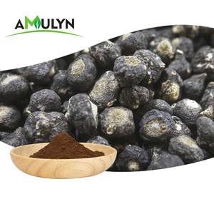 Top Qualité Nouveau Lot 10:1 Maca Noire Maca Noir Maca Poudre Pour La Fabrication <span class=keywords><strong>De</strong></span> Capsules - Product Image 4