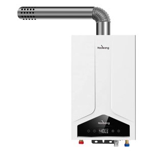 Chauffe-eau à <span class=keywords><strong>gaz</strong></span> instantané sans réservoir à température constante, appareil électroménager, meilleure vente - Product Image 3