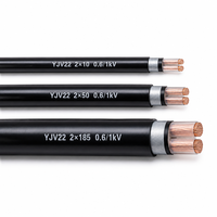 Câble de commande et d'alimentation blindé en cuivre YJV22 2 conducteurs 0,6/1 kV 2*2,5 mm² 2*4 mm² 2*6 mm² pour système de commande électrique 2*10/2*16