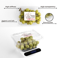 Fourniture de boîtes en PET transparentes à clapet pour fruits frais Conteneur d'emballage Perforé en plastique Tomate Cerise Raisin Fruits Punnets Boîtes
