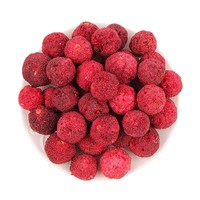 Zoet en pittig, volledig natuurlijk gevriesdroogd fruit voor gezonde snacks en een vitamine C-boost: gevriesdroogde Chinese bayberry