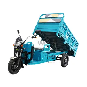 จีน 1500w รถสามล้อไฟฟ้าล้อใหญ่ EEC 3-ล้อรถบรรทุกสินค้า Trike สําหรับผู้ใหญ่ 60v มอเตอร์เปิด 1000w