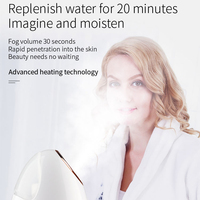 Appareil professionnel de soin du visage ionique chaud et froid, humidificateur facial nano à marque privée, alimentation électrique, usage domestique, certifié CE