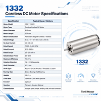 Moteur CC sans balais à noyau micro-coupe creuse 13 mm 3,7 V-24 V 0,5-5 W à faible bruit à aimant permanent pour pompe à air