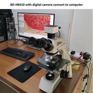 Microscope biologique trinoculaire Boshida BD-NE610 40X-1000X pour laboratoire et recherche médicale et en santé - Product Image 6