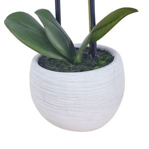 High Quality <b>Artificial</b> Phalaenopsis Orchid Flowers for Home & Wedding Decorations Stylish Stems for Mother's Day & Easter - Product Image 5