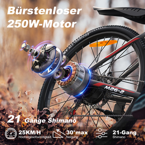 Vélo électrique de montagne VARUN 60 km d'autonomie, 26 pouces, 3 niveaux d'assistance, pour les promenades de loisirs, adultes, en stock en Europe, livraison directe d'usine - Product Image 2