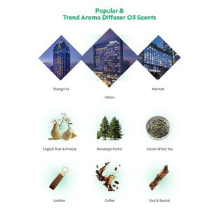 ניחוח ייחודי ניחוח שמן סוף גבוה ניחוח הדרך שלי מפזר שמן ארומה שמנים אתריים ארומה מפזר ריח - Product Image 4