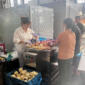 Xúc Xích sấy phòng với nhiệt độ và độ ẩm Điều khiển công nghiệp thực phẩm Trái Cây dehydrator Máy nấm khay máy sấy - Product Image 3