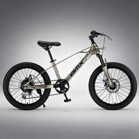 Vélo de montagne MTBGO, fabricant, 20 pouces, frein à disque double, fourche à 7 vitesses, utilisation hors route, pédales ordinaires