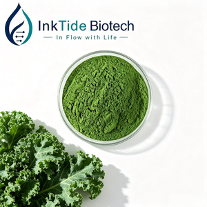 Poudre d'extrait de chou frisé en gros 10:1 20:1 30:1 – Matière première végétale en vrac pour la formulation d'aliments et de boissons - Product Image 1