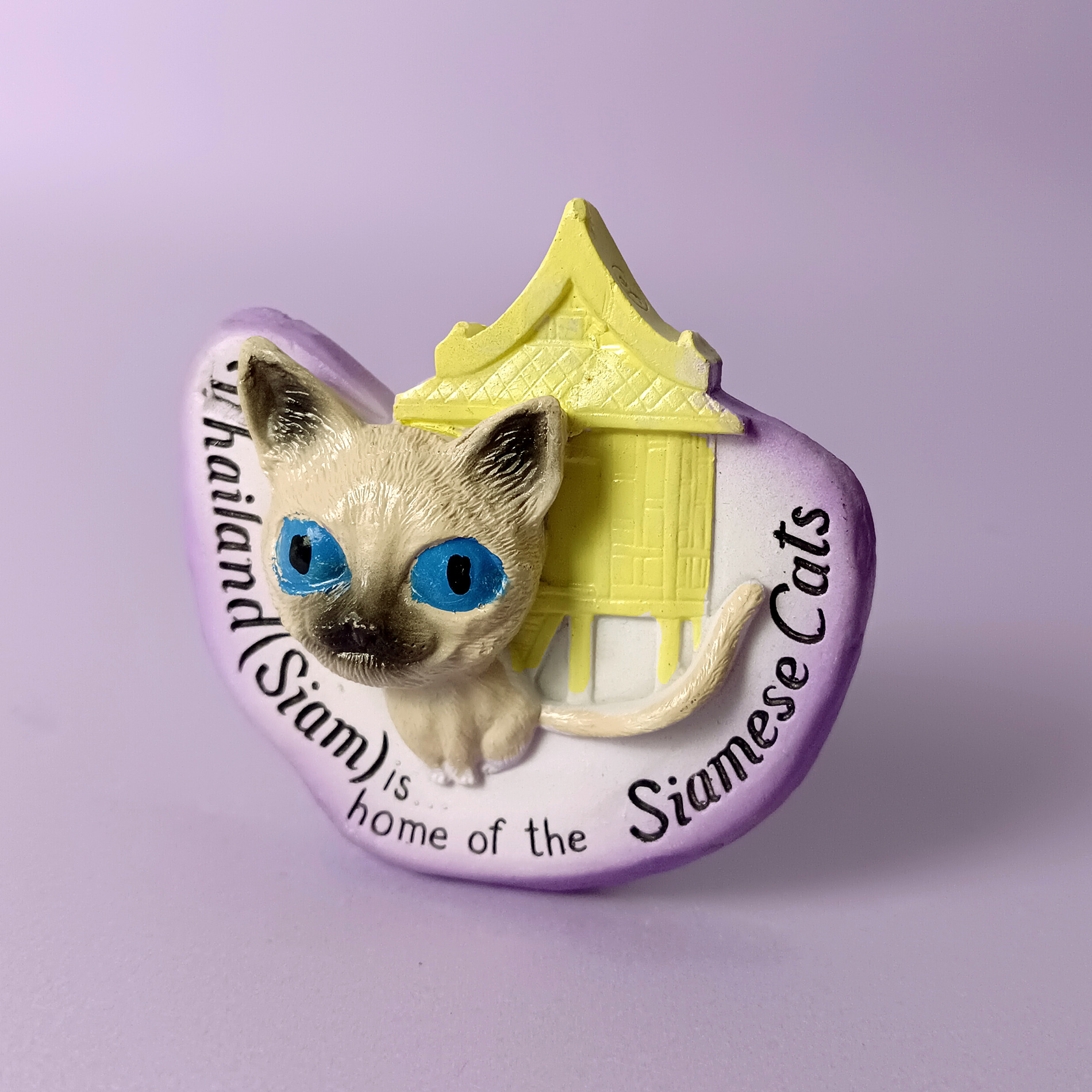 h40 แมวไทย แมวสยาม