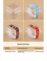 Transparante vierkante voedselverpakking voor mousse, room, fruitpudding, melk, fruitcake, ijs, PET-plastic