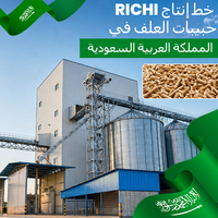 Ligne de granulation d'aliments pour animaux RICHI - Granulateur d'aliments pour bovins certifié CE, machine à fabriquer des granulés d'alfalfa, ligne d'alimentation en Arabie Saoudite
