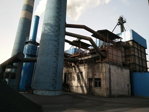 Vỏ Dừa Kích Hoạt Vỏ Dừa Hấp Thụ Vàng Quy Trình Bột Giấy ZHULIN - Product Image 6