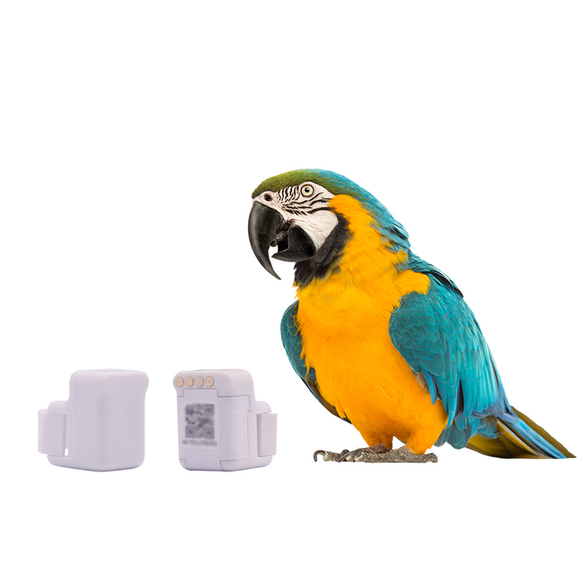 Gps Para Loros Hot Sale Electronic Bird Tracker Gps Pigeon Tracking Foot Ring for Pigeon Racing Training