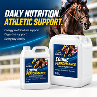 Complément liquide pour chevaux OEM ODM avec fer et vitamines B pour l'énergie, l'endurance et la récupération post-exercice des chevaux de course 5L