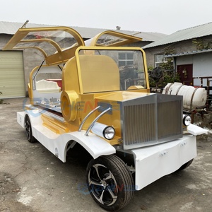 Vintage Hearse Funeral Car Ornate Horse Drawn Hearse for Sale Premium Supplies - Product Image 6