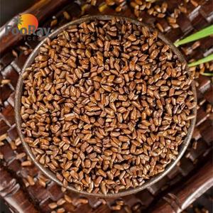 Petit paquet de 1 kg de thé de graines de cassia torréfiées Jue Ming <span class=keywords><strong>Zi</strong></span>, livraison rapide, prêt à infuser, boisson aux herbes pour la vente au détail et les cafés - Product Image 6