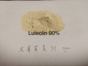 Chất lượng cao <span class=keywords><strong>Sophora</strong></span> <span class=keywords><strong>Japonica</strong></span> chiết xuất 98% luteolin bột CAS 491 - Product Image 5