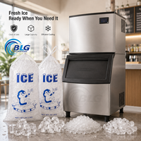 Machine à glaçons commerciale BLG pour les entreprises, machine à fabriquer des blocs de glace