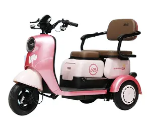 High-End 60v 3-Wheel Electric Scooter Adult Motor Tricycle With Closed Cabin Direct Sales From Quality Manufacturers