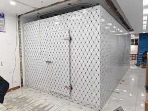 Container Refrigerato/Congelatore <span class=keywords><strong>Solare</strong></span> Commerciale Compatto da <span class=keywords><strong>20</strong></span> piedi con Copeland Emerson per Pesce, Verdura, Frutta, Gelato - Product Image 6