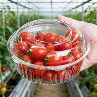 Boîte en plastique PET de qualité alimentaire, forme ronde, transparente, pour aliments, salades, fruits, emballage, boîte à clapet