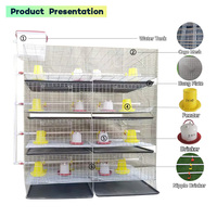 Vente chaude Cage d'alimentation pour animaux 3/4 niveaux 90-240/120-320 Oiseaux H Type Batterie Bébé Poussins Cages de couveuse pour ferme avicole