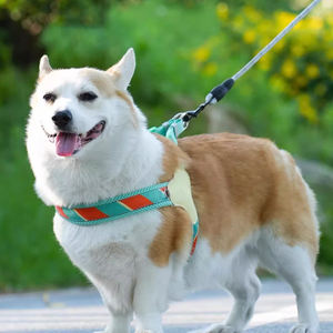 Altra Free Breathe耐久性のあるステップインベスト調整可能なメッシュペットハーネスリーシュ製造コンフォートドッグハーネス小型犬用コーギー - Product Image 2