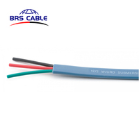 2,5mm 3-adriges elektrisches Tauch wasserpumpen kabel für Tauch pumpe