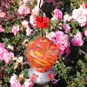 Fossato formica per colibrì mangiatoia rosso colibrì accessori accessori ganci con 4 spazzole pulite, confezione da 4 - Product Image 6