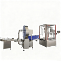 Machine de remplissage entièrement automatique de poudre d'oxyde de terres rares, remplisseur à vis haute précision pour ORE, ligne d'embouteillage automatique intégrée
